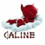 caline13140
